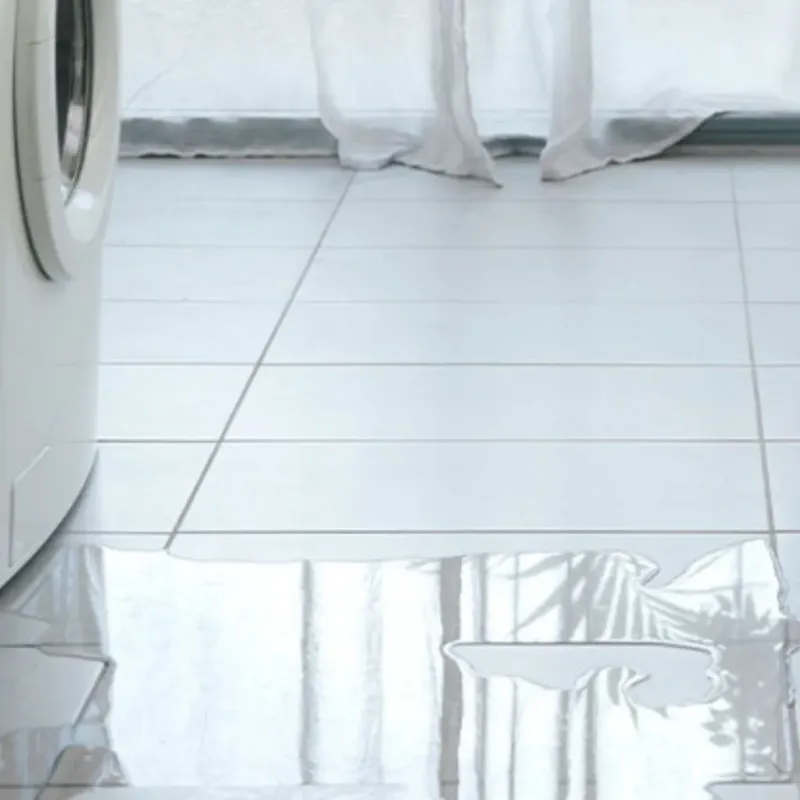 Appliance Leak Cleanup in Bass Lake, IN