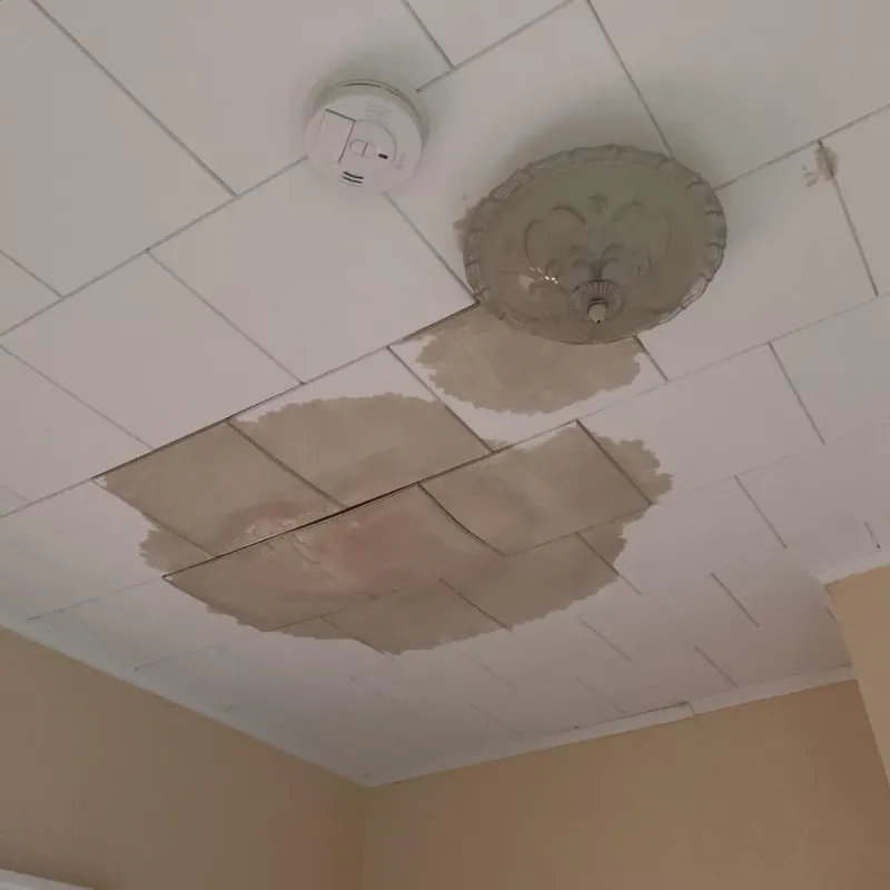 Ceiling Water Damage Repair in Bass Lake, IN