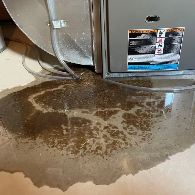 Pipe Burst and Leak Restoration in Bass Lake, IN