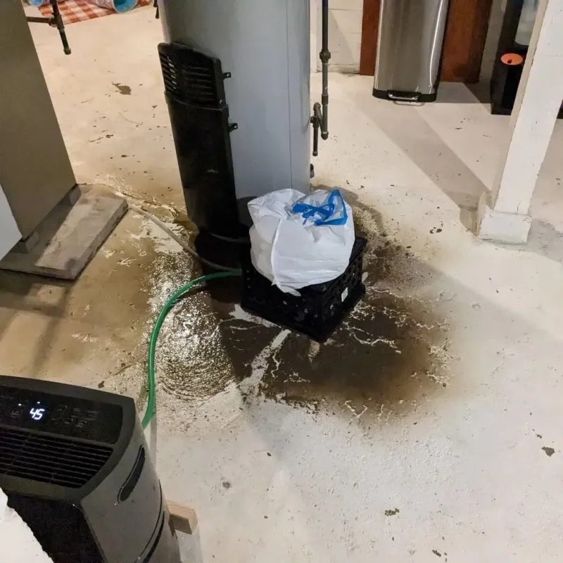 Sewage Backup Cleanup Service in Bass Lake, IN